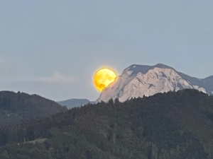 Luna Yoga Vollmond in Stier / 6.11.2022